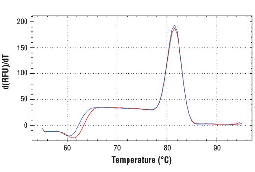 Melt Curve